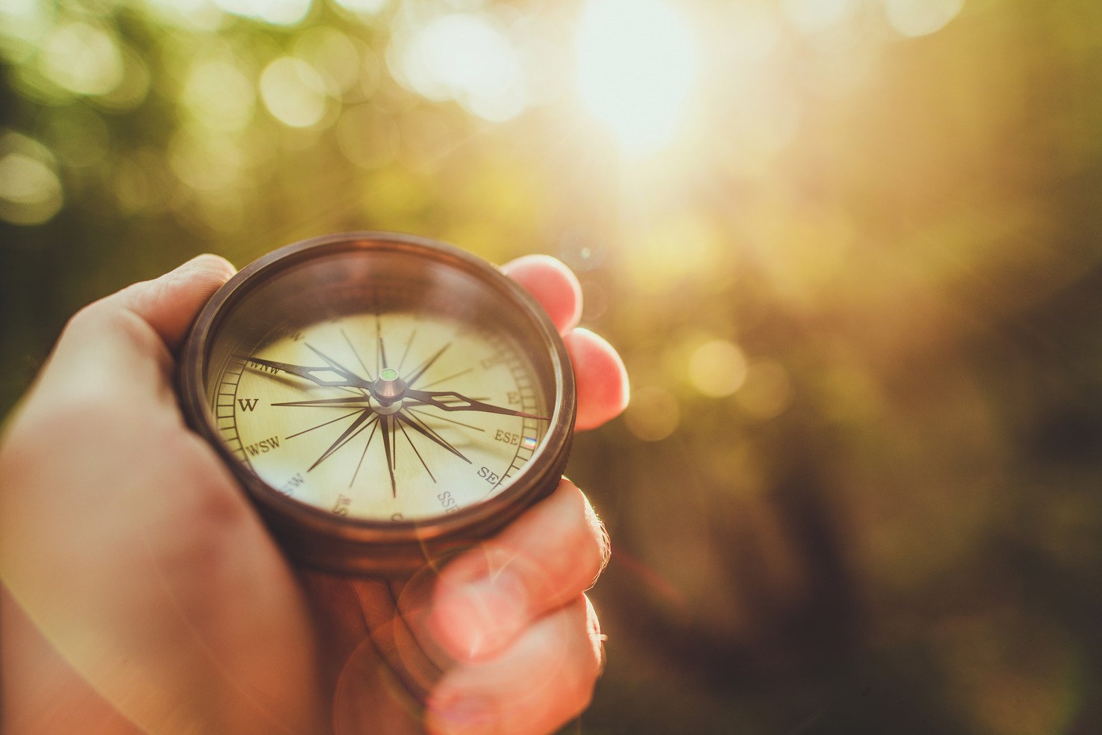 A hand holding a brass compass in sunlight